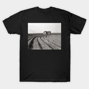 Cotton Fields, 1938. Vintage Photo T-Shirt